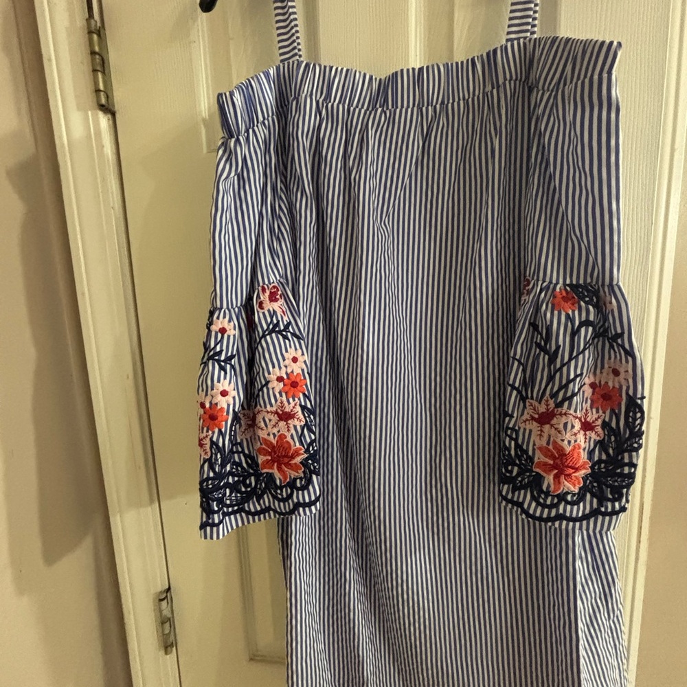 Striped Blue Dress with Floral Embroidery